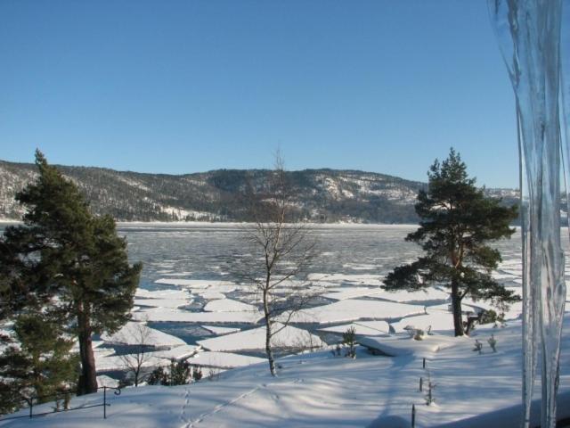 Rorvik