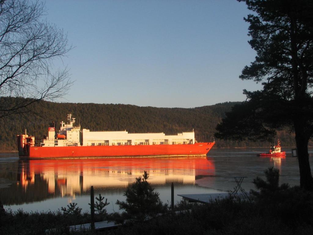 Rorvik *